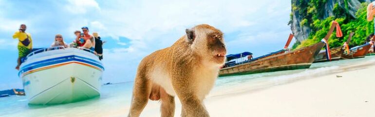 PHUKET & BANGKOK TURU Türk Hava Yolları ile 6 gece