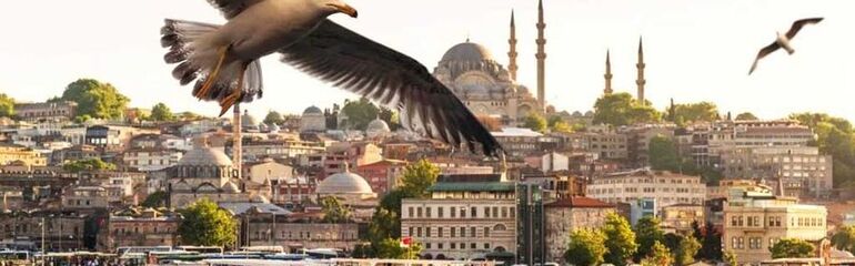KONAKLAMALI İSTANBUL ŞEHİR TURU