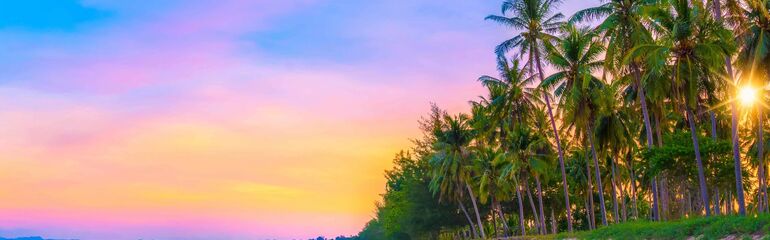 PHUKET & BANGKOK TURU Türk Hava Yolları ile 6 gece