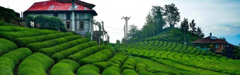 Yılbaşı Özel 2 Gece Konaklamalı Doğu Karadeniz & Batum Turu