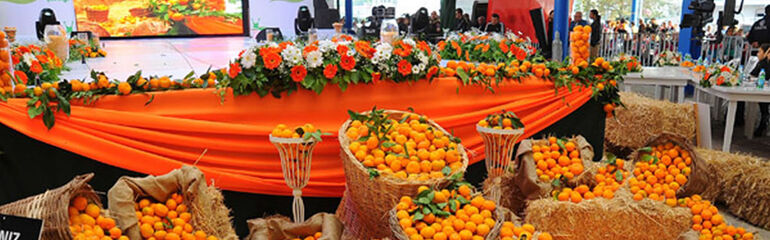 Seferihisar Mandalina Festivali Turu