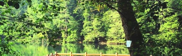 Sömestr Özel Batı Karadeniz Turu 3 Gece