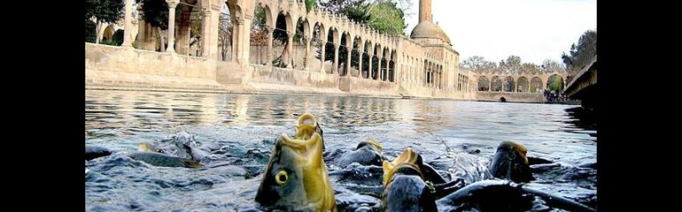 2026 Doğu Anadolu Turu