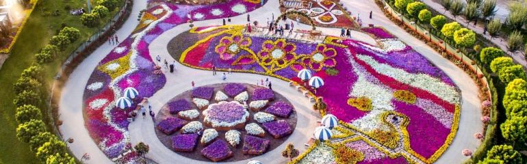 KONYA LALE BAHÇELERİ TURU